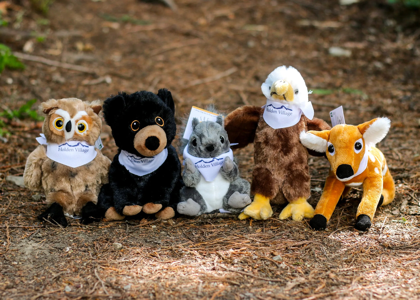 Conservation Critters