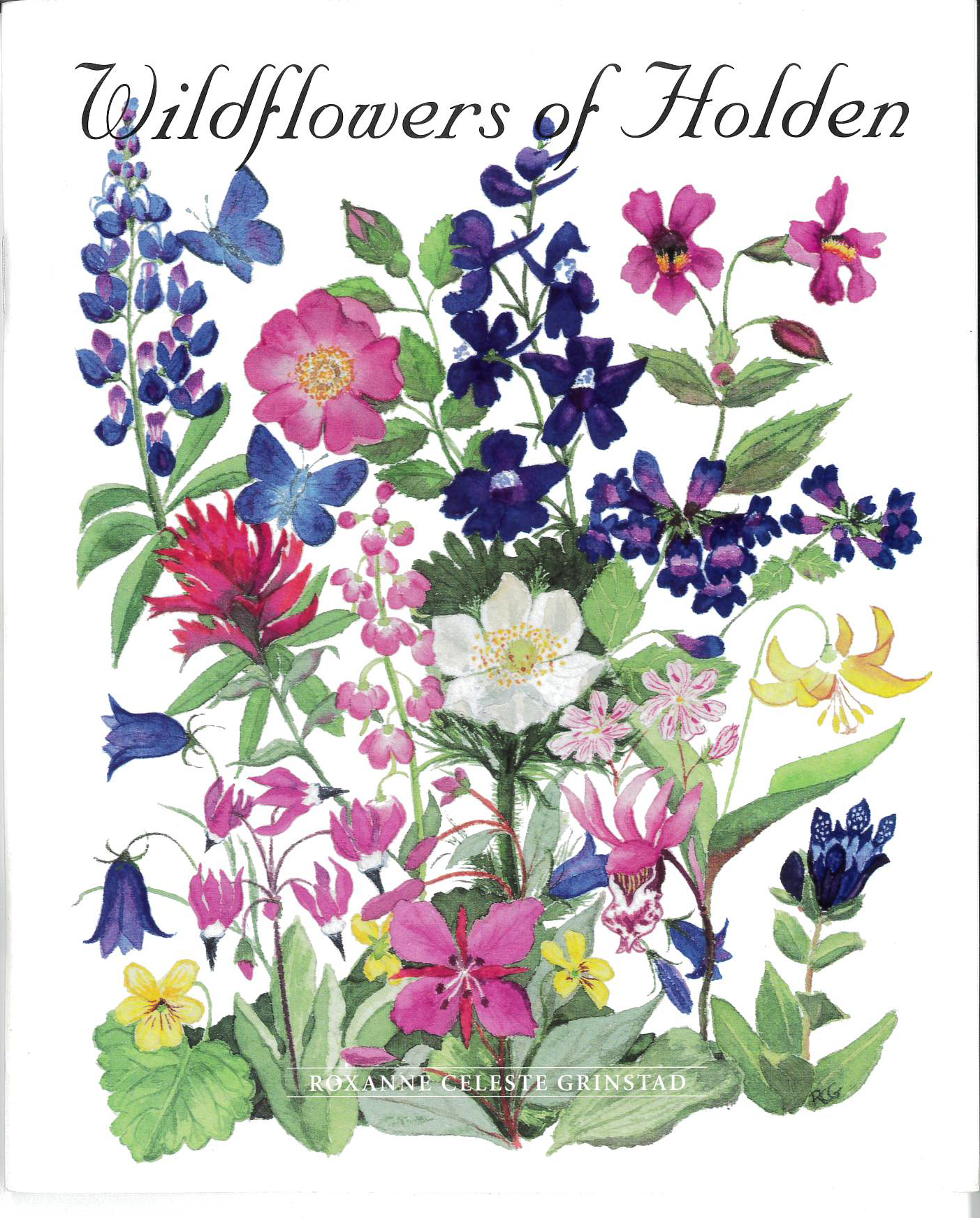 Wildflowers of Holden-Grinstad, Roxann