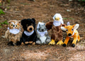 Conservation Critters