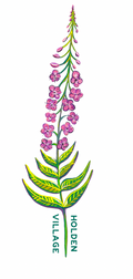 A botanical illustration of a pink flowering plant with green leaves on a white background, with the text 'HOLDEN VILLAGE' printed vertically near the stem.