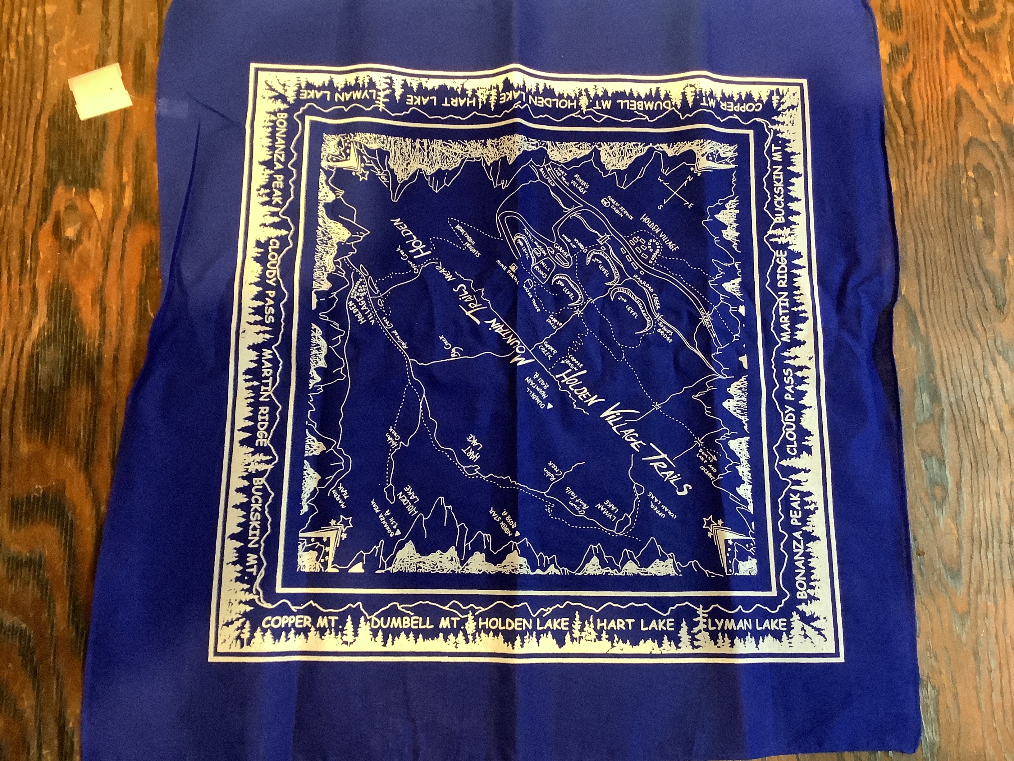 HV Vintage Map - Bandana
