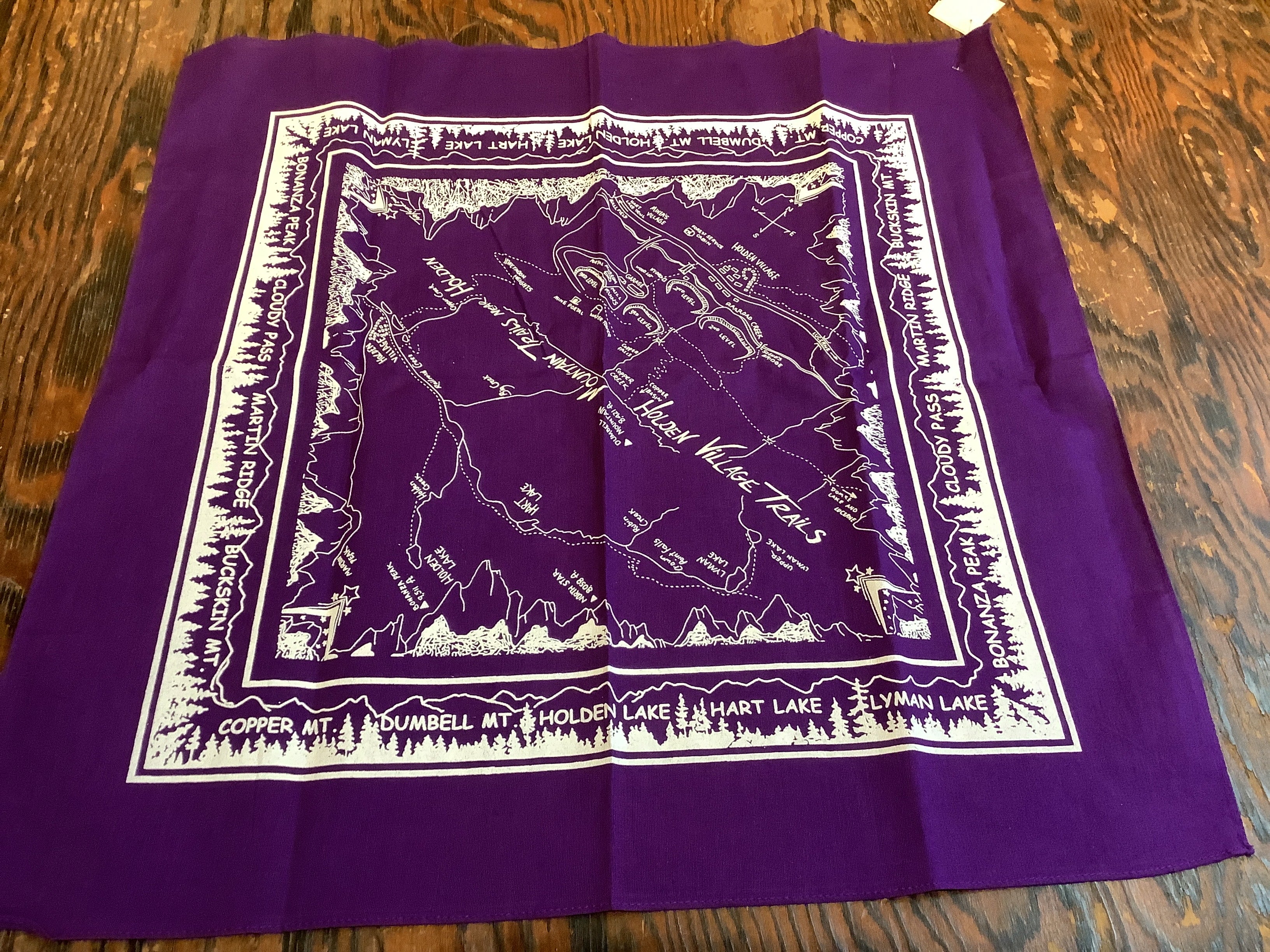 HV Vintage Map - Bandana