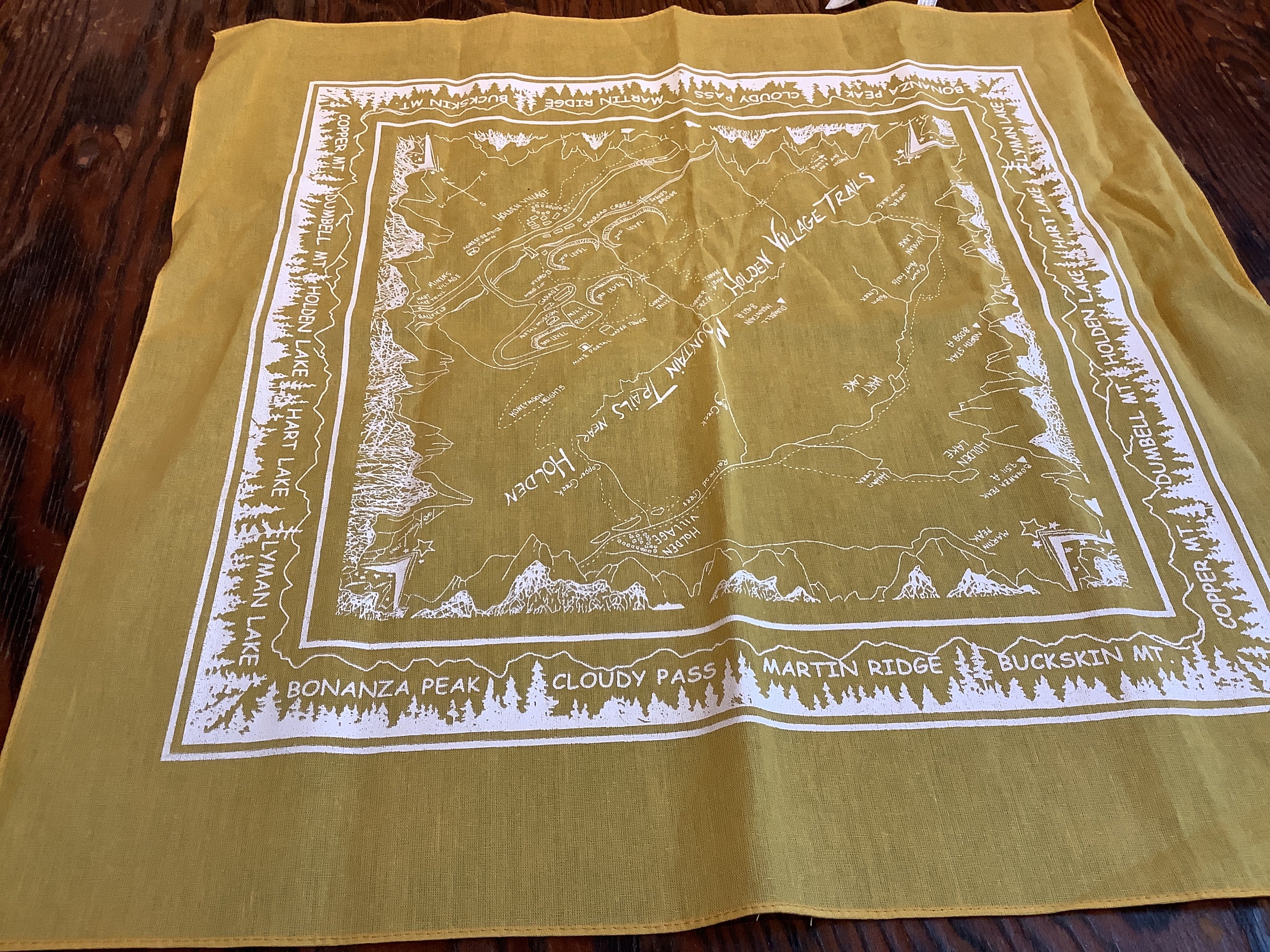 HV Vintage Map - Bandana