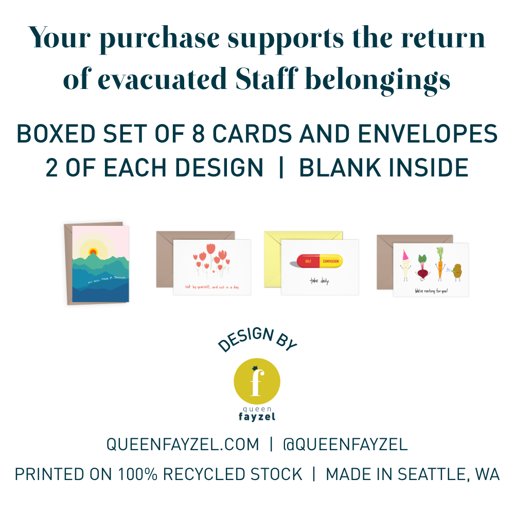Promotional graphic for a boxed set of 8 greeting cards and envelopes, showing four sample card designs and text stating the set includes 2 of each design with blank inside. Brand logo Queen Fayzel and website QUEENFAYZEL.