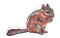Sticker - Chipmunk