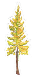 Sticker - Larch Tree