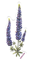 Sticker - Lupine Wildflowers