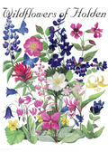Wildflowers of Holden-Grinstad, Roxann