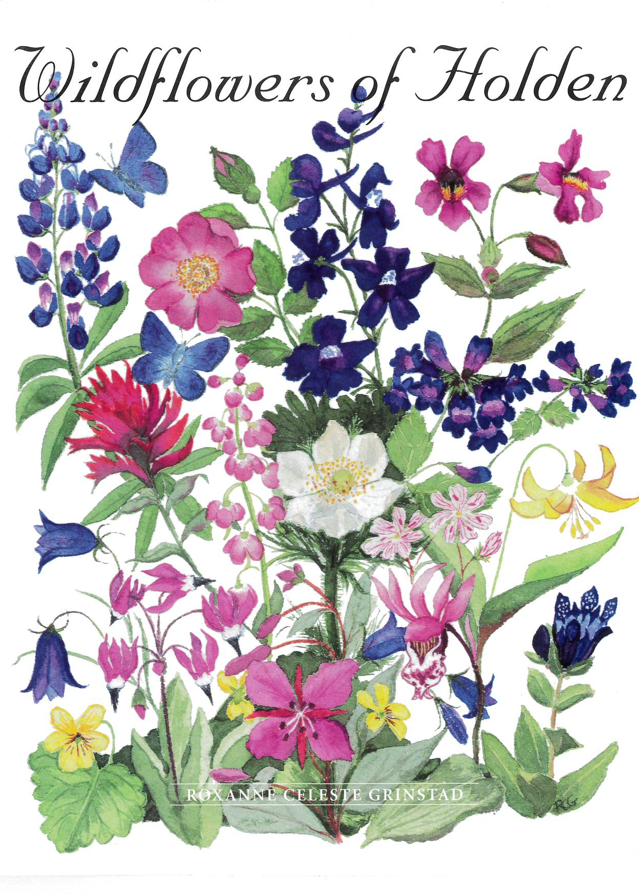 Wildflowers of Holden-Grinstad, Roxann