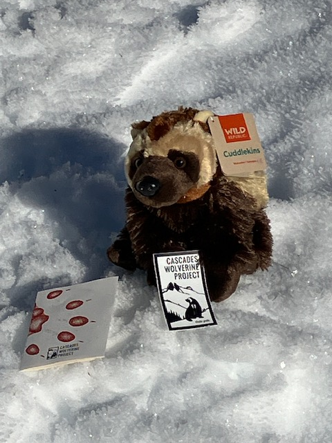 Stuffed Animal - Wolverine